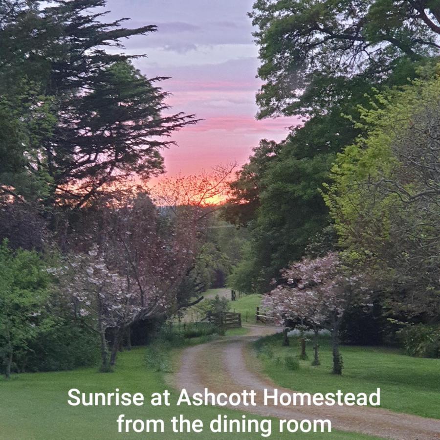Ashcott Homestead Bed & Breakfast Takapau Exteriér fotografie
