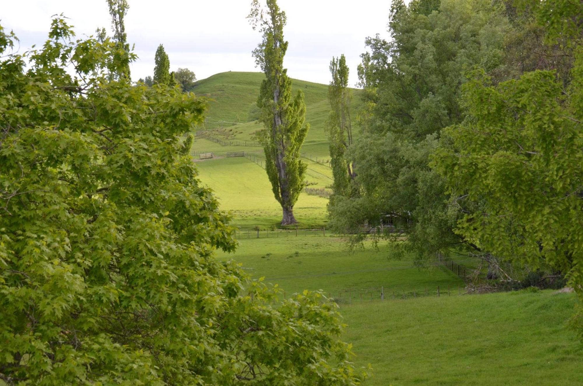 Ashcott Homestead Bed & Breakfast Takapau Exteriér fotografie